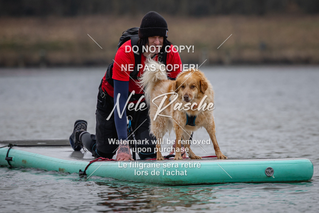 nelerasche_Hulsbeek_Sa1430-1515_346 | nelerasche