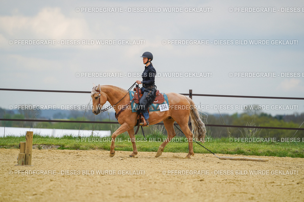 DSC07203 | Pferdegrafie