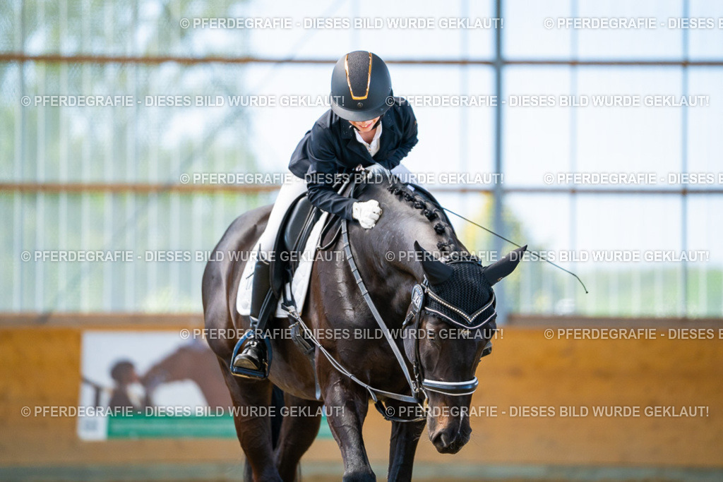 DSC09554 | Pferdegrafie