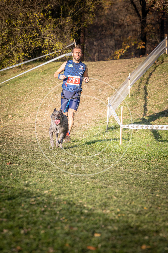 CaniXpix_0L8A0222 | Hundefotografie, Tierfotograf, Pfotenfotografie, Fotoshooting Hund, Hunde Portrait, Hundesport, Hundeportraits, Heideshooting, Hunde, Sportfotograf, Hundefotograf, Turnierhundsport, THS,  - Realisiert mit Pictrs.com