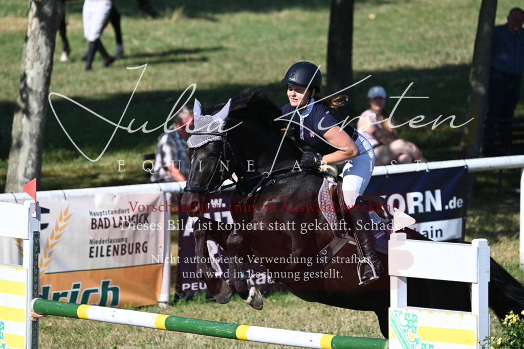 DSC_2485 | Pferde- und Turnierfotografie in Westsachsen. Pferdeportraits, Auftragszeichnungen und intuitive Kunst.