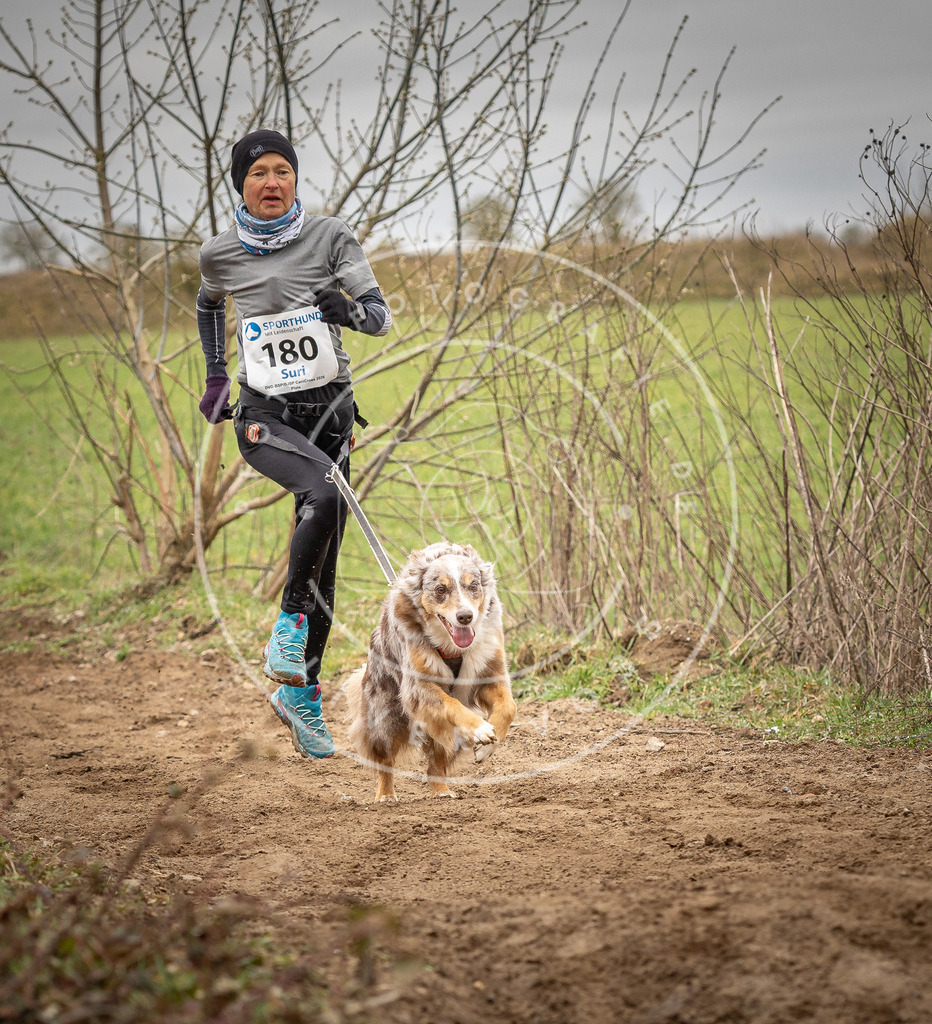 DV3A2092 | Hundefotografie, Tierfotograf, Pfotenfotografie, Fotoshooting Hund, Hunde Portrait, Hundesport, Hundeportraits, Heideshooting, Hunde, Sportfotograf, Hundefotograf, Turnierhundsport, THS,  - Realisiert mit Pictrs.com