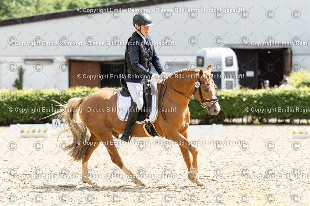 CL5A8050 | Emilia Reinking Fotografie - Realisiert mit Pictrs.com