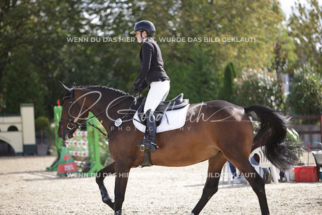 1J2A4064Annika Jaeger_ Magic Love 4_ Kn695_ Havekost | Foto- und Videografie für alles rund ums Pferd. Hochwertige Bilder und Videos vom Spring- und Dressurreiten, Voltigieren & mehr. Jetzt aktuelle Veranstaltungen und Preise im Shop ansehen. - Realisiert mit Pictrs.com