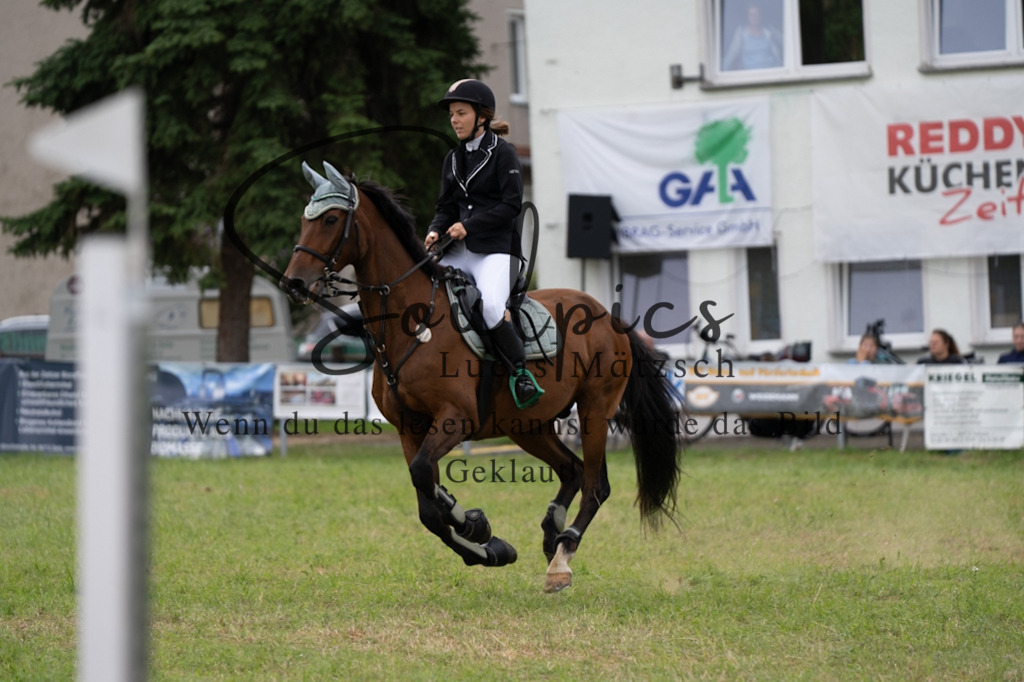 A7V05570 | Pferdefotograf