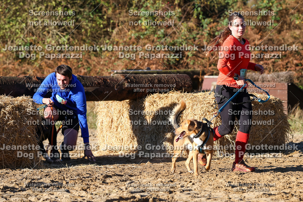 Dog Paparazzi - Strongdog 10-25-1366 | Dog Paparazzi Jeanette Grottendiek Fotografie & Videografie - Realisiert mit Pictrs.com