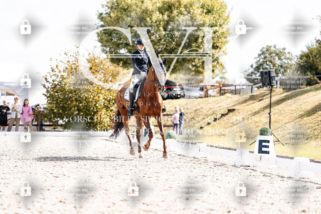 CK902635 | Turnierfotografie Pferdefotografie Trier Rheinland-Pfalz Pferdesport Reitsport Tierfotografie Sportfotografie Pferdevideo Pferdevideografie Equestrianvideography equestrianphotography  - Realisiert mit Pictrs.com