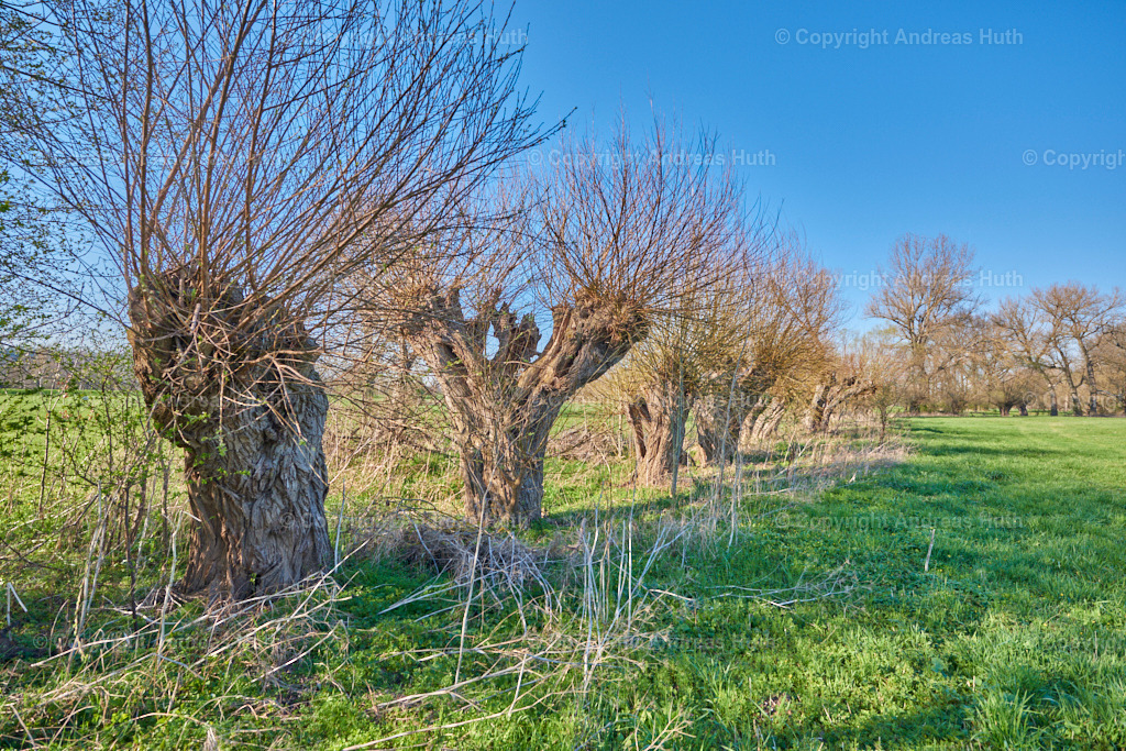 In der Elsteraue bei Predel 02 | Bedeutsame Landschaften Deutschlands - Realisiert mit Pictrs.com