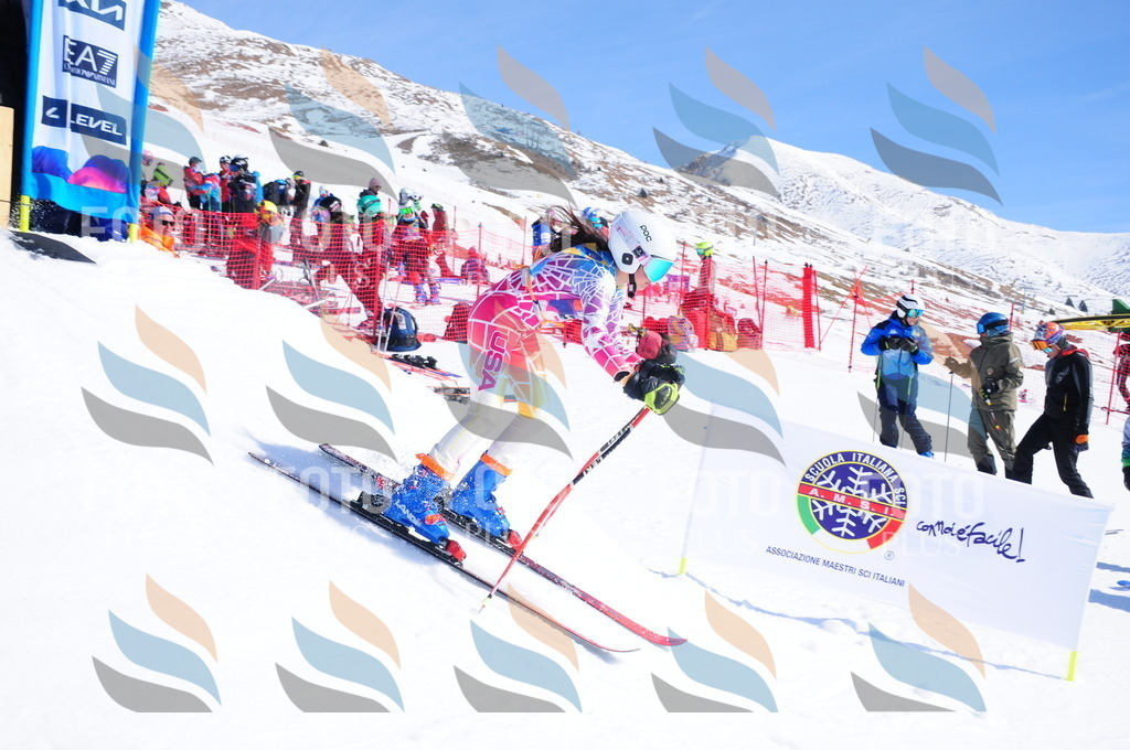 DSC_4493 | holidayphoto