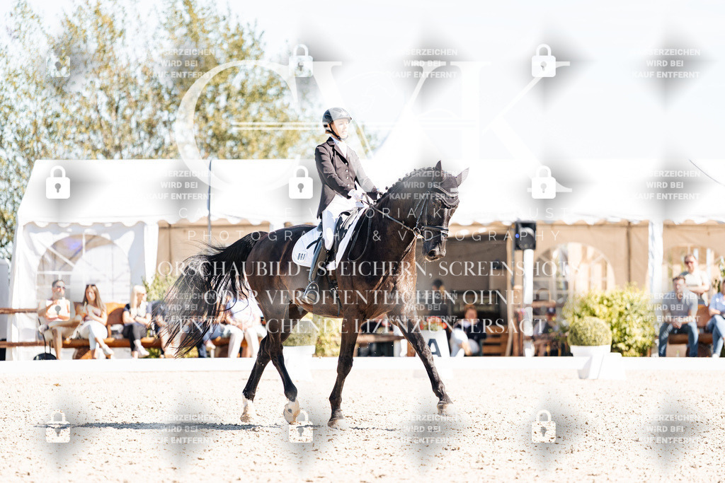 CK909871 | Turnierfotografie Pferdefotografie Trier Rheinland-Pfalz Pferdesport Reitsport Tierfotografie Sportfotografie Pferdevideo Pferdevideografie Equestrianvideography equestrianphotography  - Realisiert mit Pictrs.com