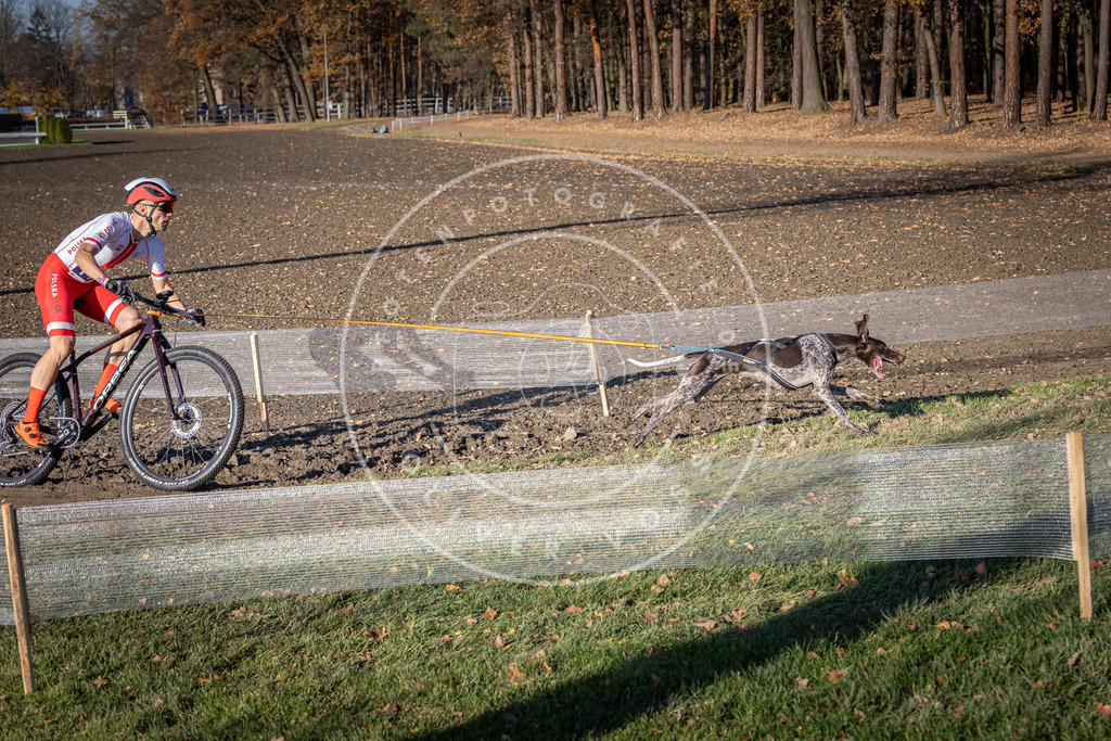 CaniXpix_DV3A2436 | Hundefotografie, Tierfotograf, Pfotenfotografie, Fotoshooting Hund, Hunde Portrait, Hundesport, Hundeportraits, Heideshooting, Hunde, Sportfotograf, Hundefotograf, Turnierhundsport, THS,  - Realisiert mit Pictrs.com