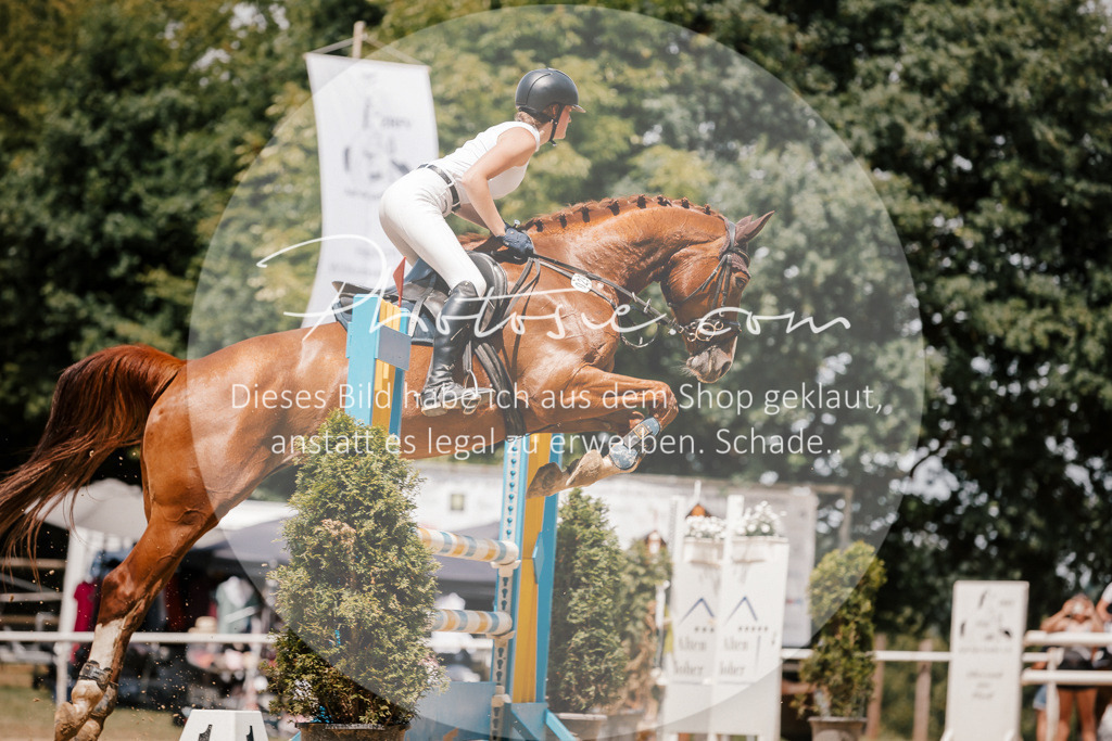 3I6A8040 | Stimmungsvolle Portraits und Reitsportfotografie im Ruhrgebiet und im Münsterland.

Pferdefotografie, Hundefotografie, Tierfotografie, Reportagen, Portraits von Tier und Mensch, Turnierfotografie in Bochum, Recklinghausen, Marl, Haltern am See, Dülmen.. - Realisiert mit Pictrs.com