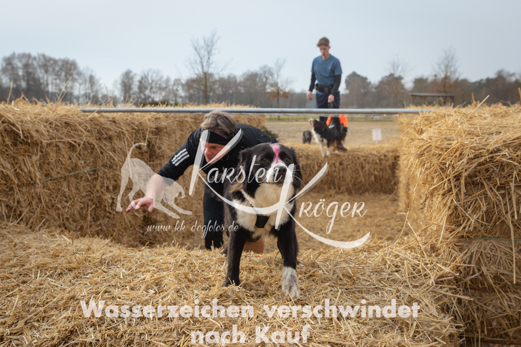 1041_ZZ97784 | kk-dogfotos