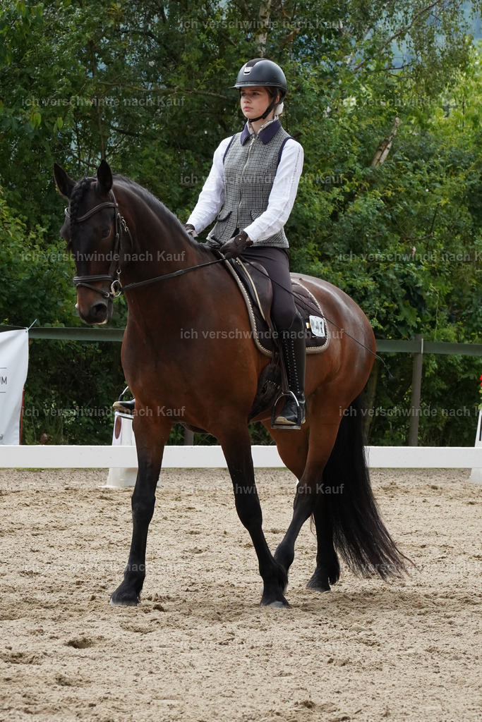 KlasseE_Lucie467 | working equitationturnier fotograf videograf stoibphotography marixx film working equitation deutschland reitsport turnierfotografie eventfotografie equestrian events