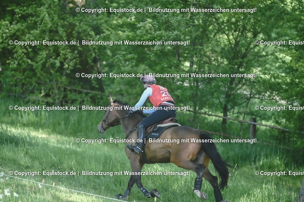 20250517_CCI2_Gelände_0538 | Foto: Thomas Hartig