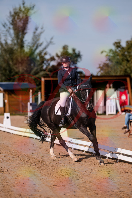 2026_10_03_Siefer-Hof_113744_Z81_81290271 | Professionelle Reitsport-, Turnier- und Eventfotografie von Robert Broda. Galerien mit ausgewählten und bearbeiteten Bildern direkt online ansehen und bestellen.