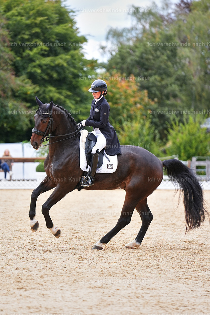 6-113-AMATUER-DRESSUR S_  -Marixx-3753 | working equitationturnier fotograf videograf stoibphotography marixx film working equitation deutschland reitsport turnierfotografie eventfotografie equestrian events