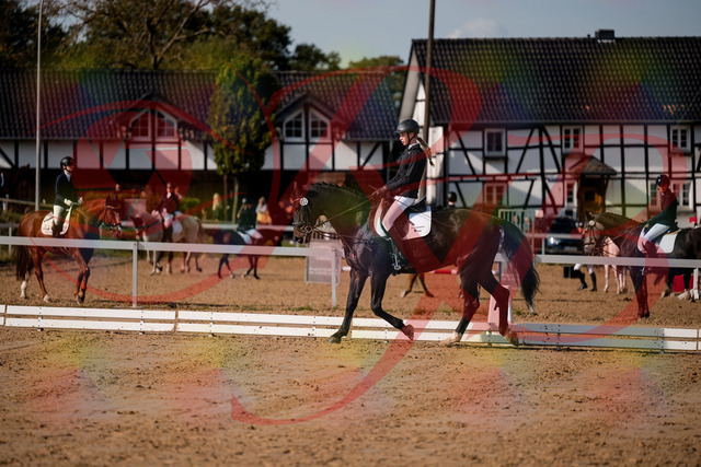2026_10_03_Siefer-Hof_115454_Z63_30215277 | Professionelle Reitsport-, Turnier- und Eventfotografie von Robert Broda. Galerien mit ausgewählten und bearbeiteten Bildern direkt online ansehen und bestellen.