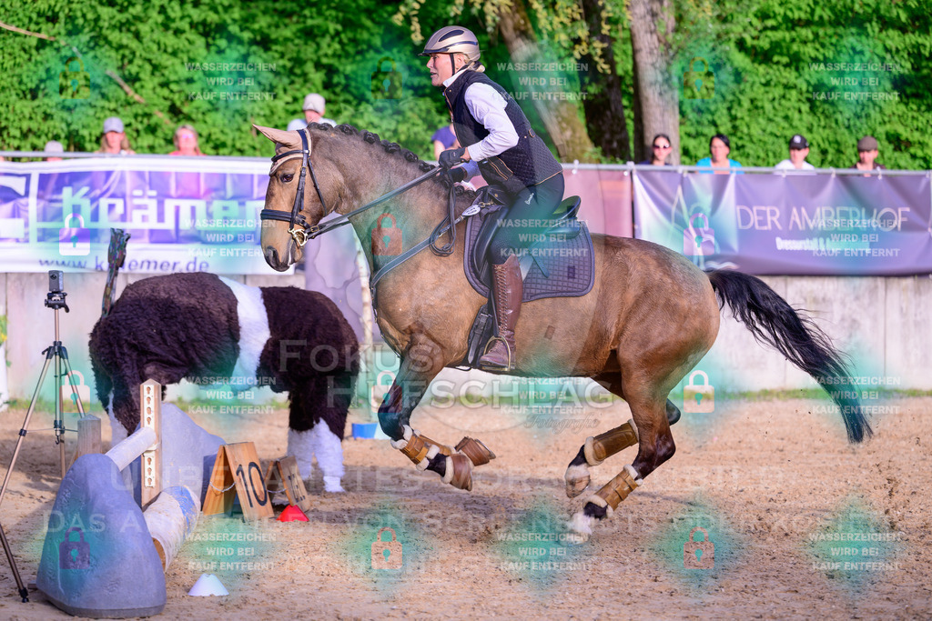 02052026-Giesenbach-03-Speedtrail-0966 | Fokus Hufschlag Fotografie - Realisiert mit Pictrs.com