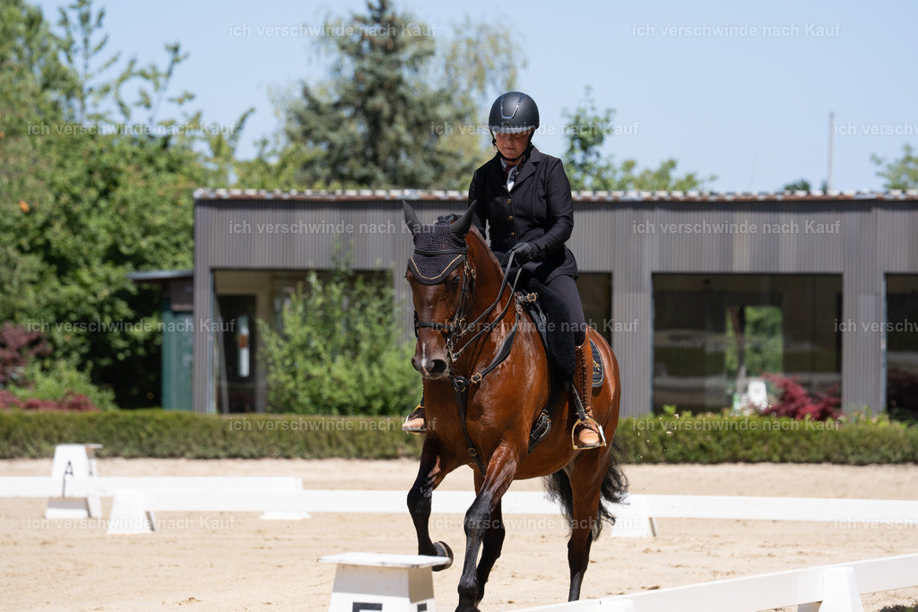 WS_DR_97_sinafilmart_IN08403 | working equitationturnier fotograf videograf stoibphotography marixx film working equitation deutschland reitsport turnierfotografie eventfotografie equestrian events