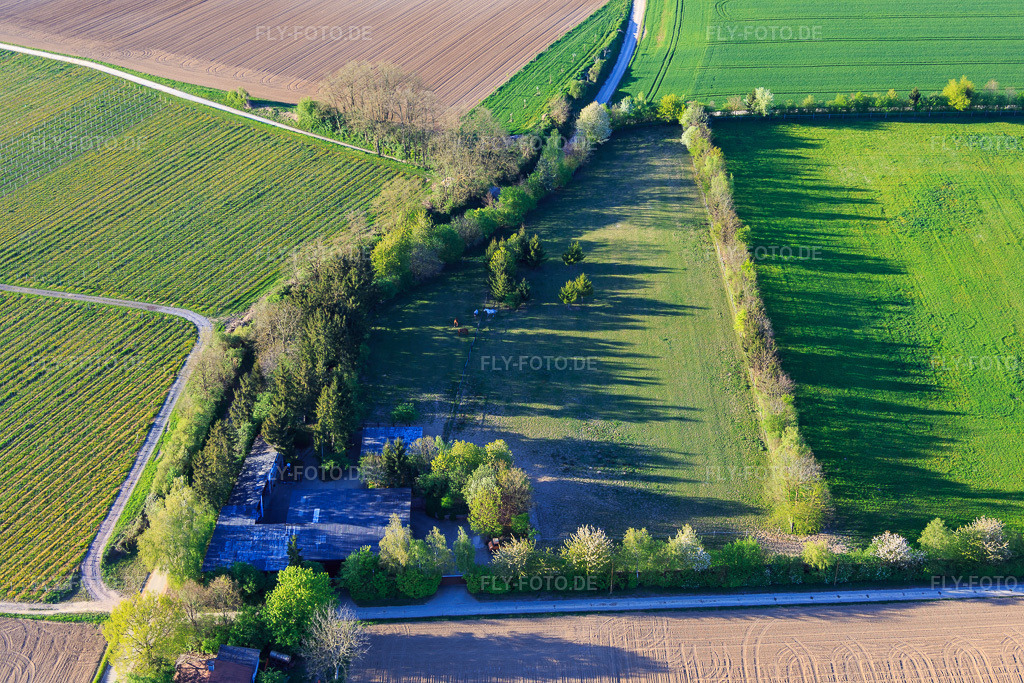 Luftbild: Koppel von Trakehner-Friedrich in Minfeld im Bundesland Rheinland-Pfalz in Deutschland. Foto: IMG_077348.jpg vom 21.04.2015 durch Werner Riehm/FLY-FOTO.de