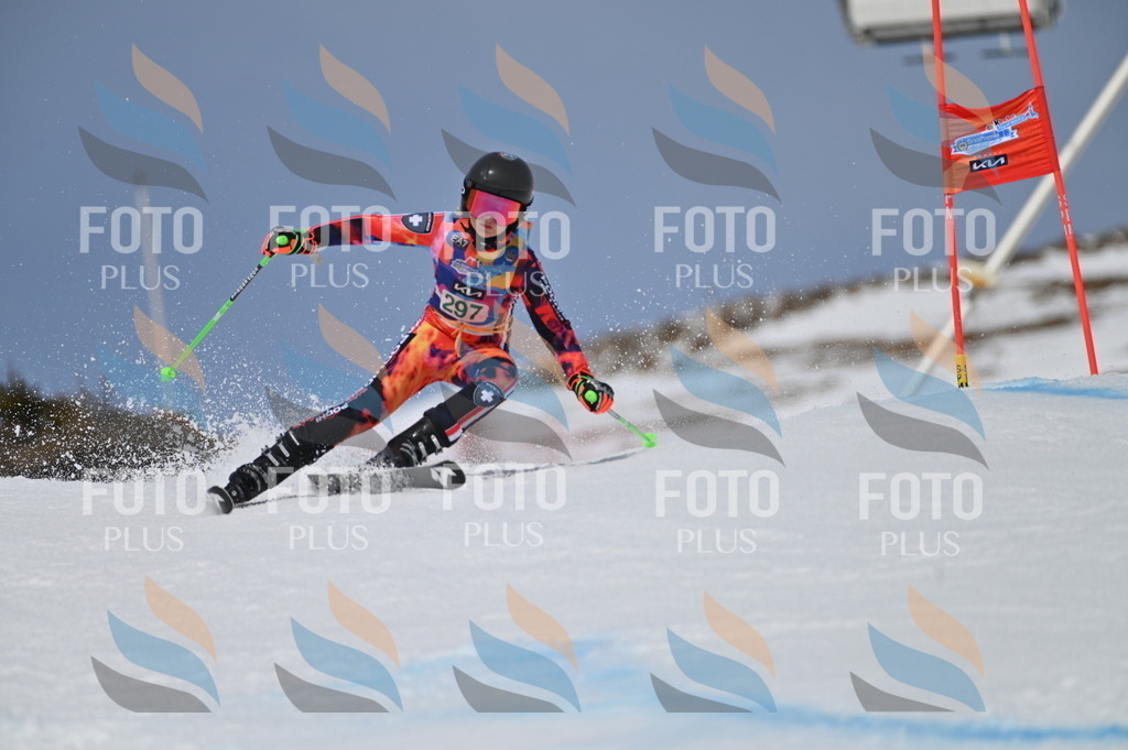 BGV_5913 | holidayphoto