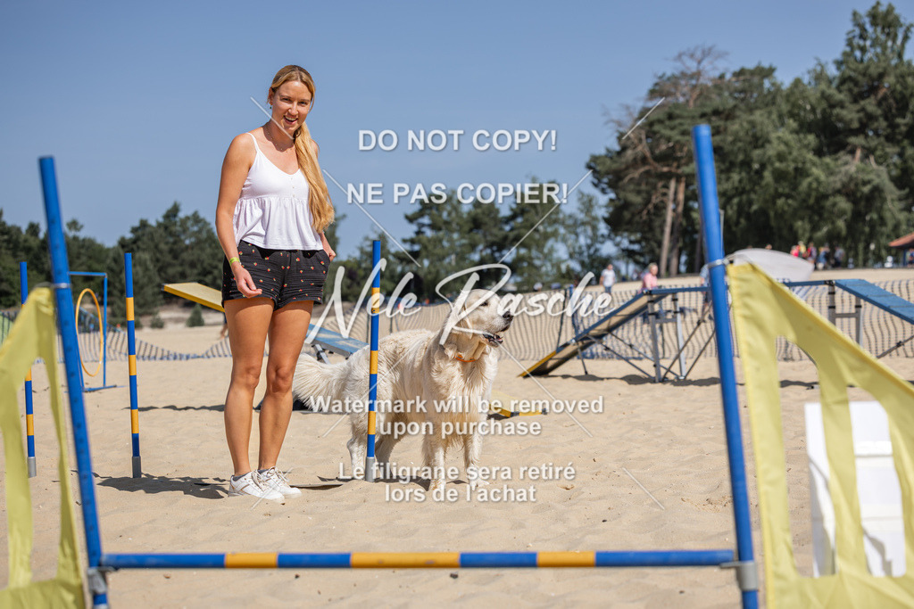 nelerasche_saBeachility_509 | nelerasche