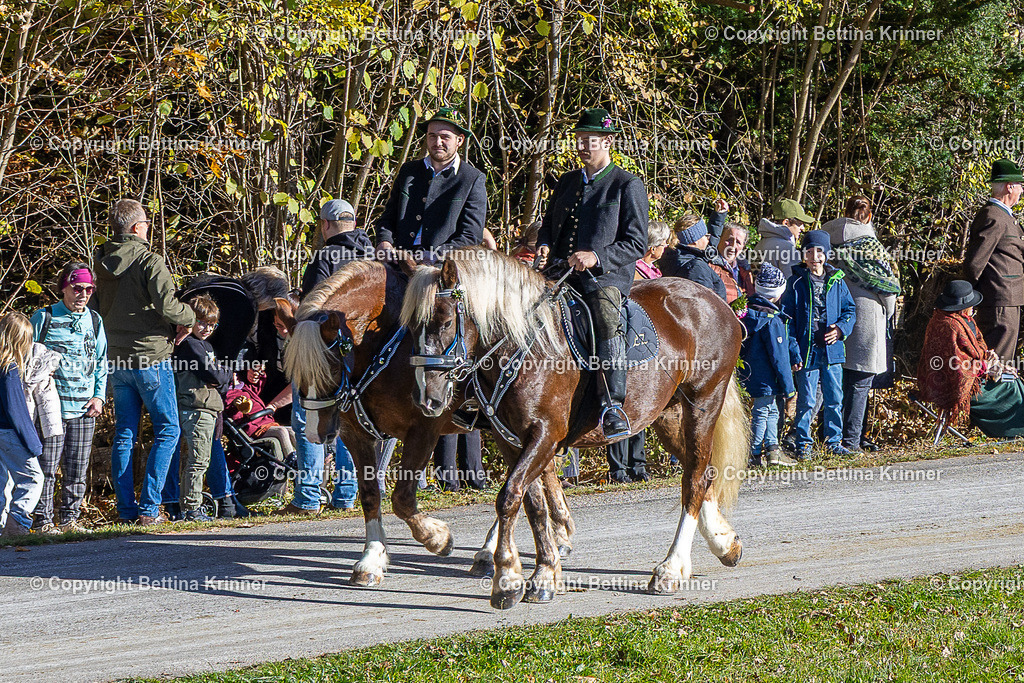 LBT25-707 | foto-bettina-krinner - Realisiert mit Pictrs.com