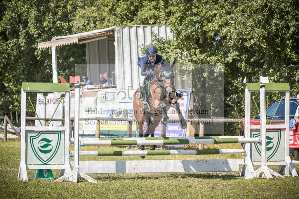 DOS_0781 | Entdecke hochwertige Reitturnierfotos von Foto Oger. Professionell, emotional und authentisch – jetzt Lieblingsmomente im Shop bestellen.Deutschlandweite Turnierfotografie. - Realisiert mit Pictrs.com