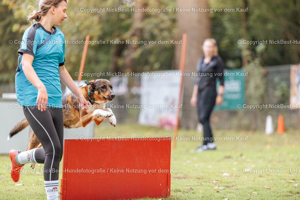 THS-HSV-Blumenthal-2026-Nickbest-Hundefotografie-4025 | Dein Hund! Dein Moment! Deine Erinnerungen! Hundefotografie in Bremen Blumenthal. Ich fange die besonderen Momente deines Vierbeiners ein – ob Indoor mit Blitzanlage oder in der freien Natur. Sicher dir dein Moment und dein Termin für eure Erinnerungen.