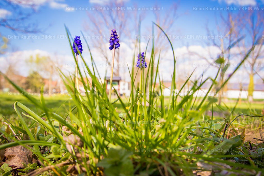 Eichenbarleben-2688 | Park Eichenbarleben - Realisiert mit Pictrs.com