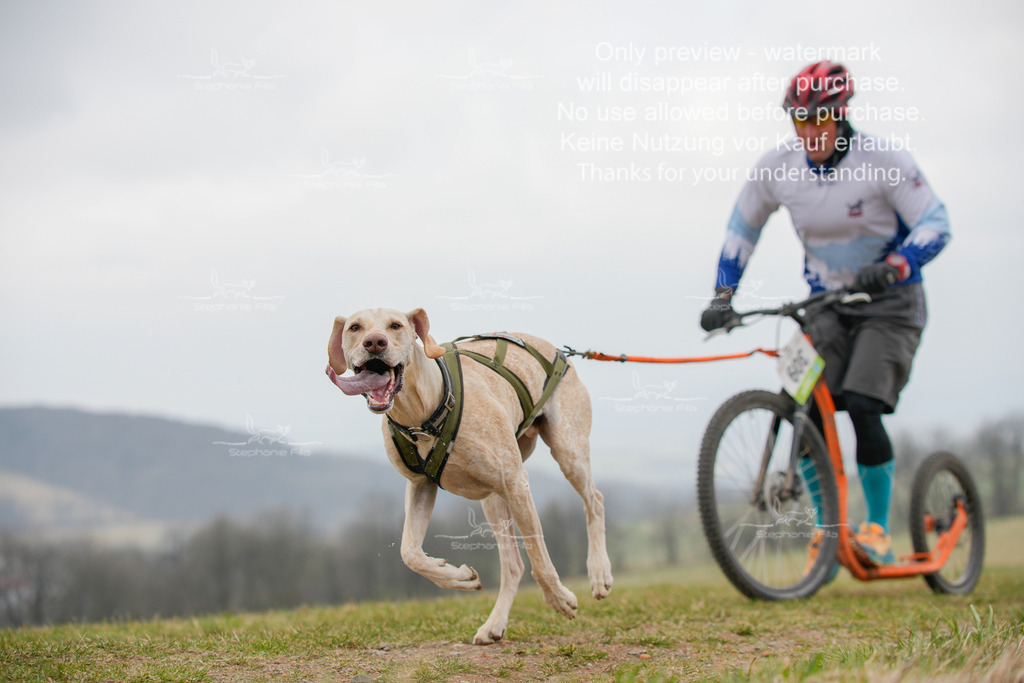 ScooterSA-48 | stephaniefillaphotographie - Realisiert mit Pictrs.com