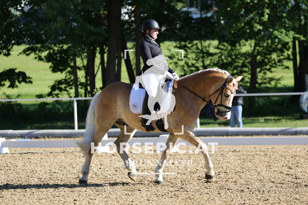 0P6A9369 | Willkommen bei Brunnmayr - Design & Fotografie – Ihrem Spezialisten für Reitturniere und Pferdeveranstaltungen in Oberösterreich, Salzburg und Bayern! Seit über 17 Jahren sind wir leidenschaftlich dabei.
