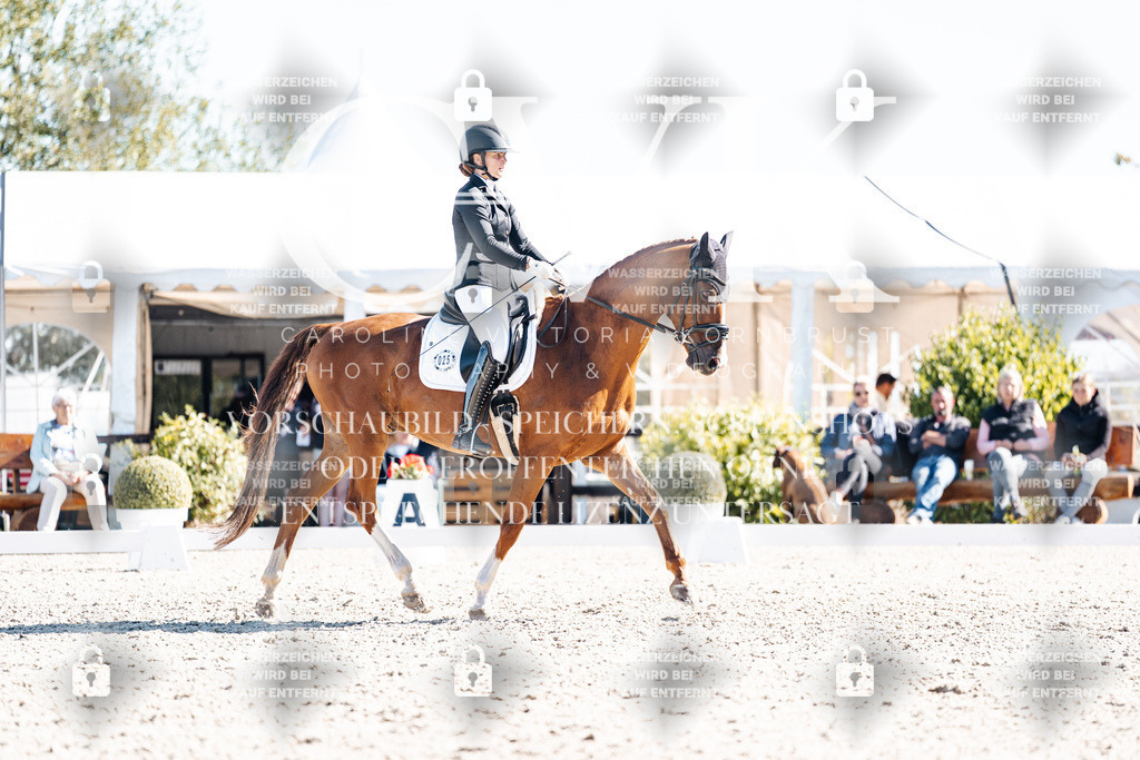 CK909138 | Turnierfotografie Pferdefotografie Trier Rheinland-Pfalz Pferdesport Reitsport Tierfotografie Sportfotografie Pferdevideo Pferdevideografie Equestrianvideography equestrianphotography  - Realisiert mit Pictrs.com