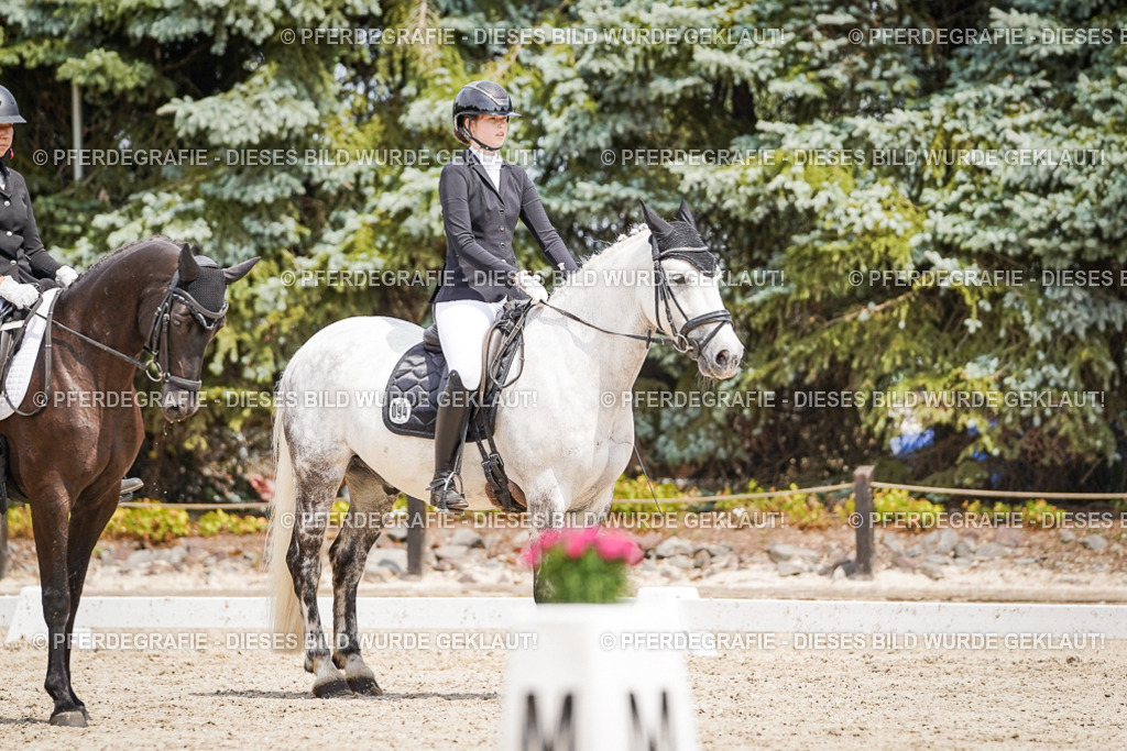 DSC03456 | Pferdegrafie