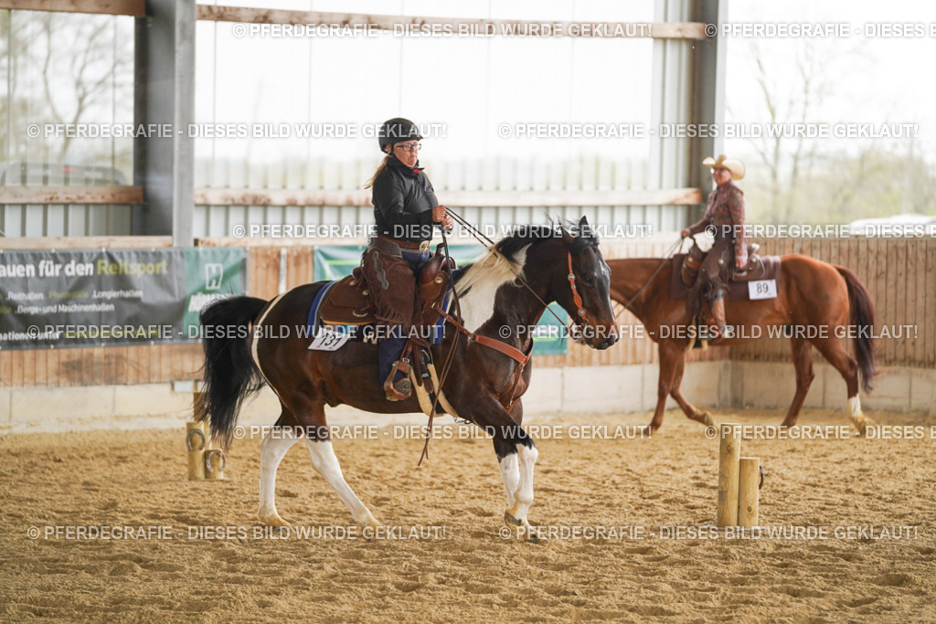 DSC03590 | Pferdegrafie