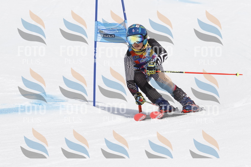 _U3G2412 | holidayphoto