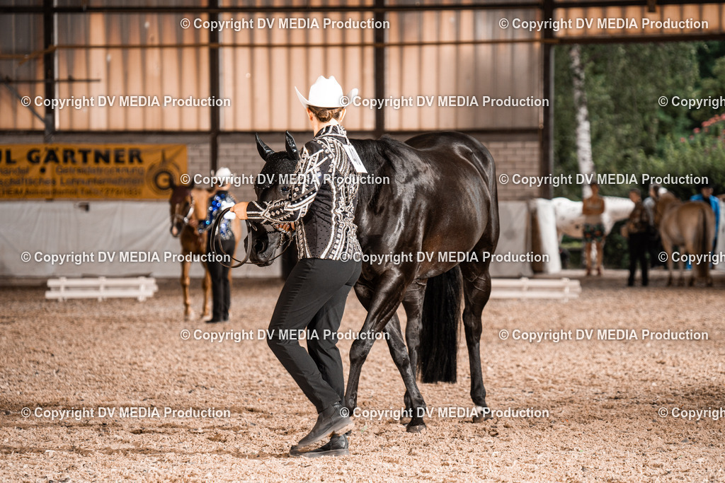 ZH200184 | dv-media-shop - Realisiert mit Pictrs.com