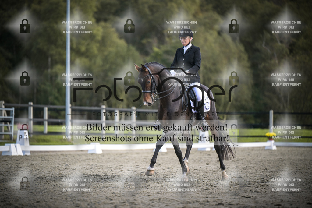 DOS_3939 | Entdecke hochwertige Reitturnierfotos von Foto Oger. Professionell, emotional und authentisch – jetzt Lieblingsmomente im Shop bestellen.Deutschlandweite Turnierfotografie. - Realisiert mit Pictrs.com