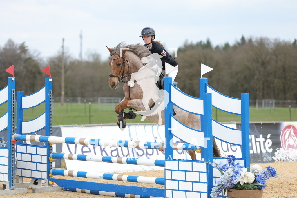 0P6A8556 | Willkommen bei Brunnmayr - Design & Fotografie – Ihrem Spezialisten für Reitturniere und Pferdeveranstaltungen in Oberösterreich, Salzburg und Bayern! Seit über 17 Jahren sind wir leidenschaftlich dabei.