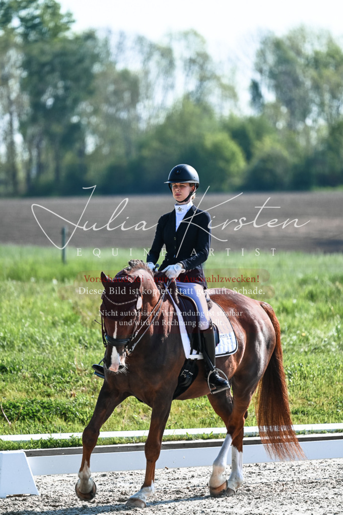 20230514_JK-Röhrsdorf-18-178 | Pferde- und Turnierfotografie in Westsachsen. Pferdeportraits, Auftragszeichnungen und intuitive Kunst.