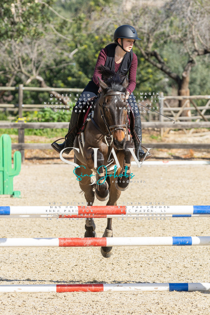 IMG_3913 | s-jay-photography - Realisiert mit Pictrs.com