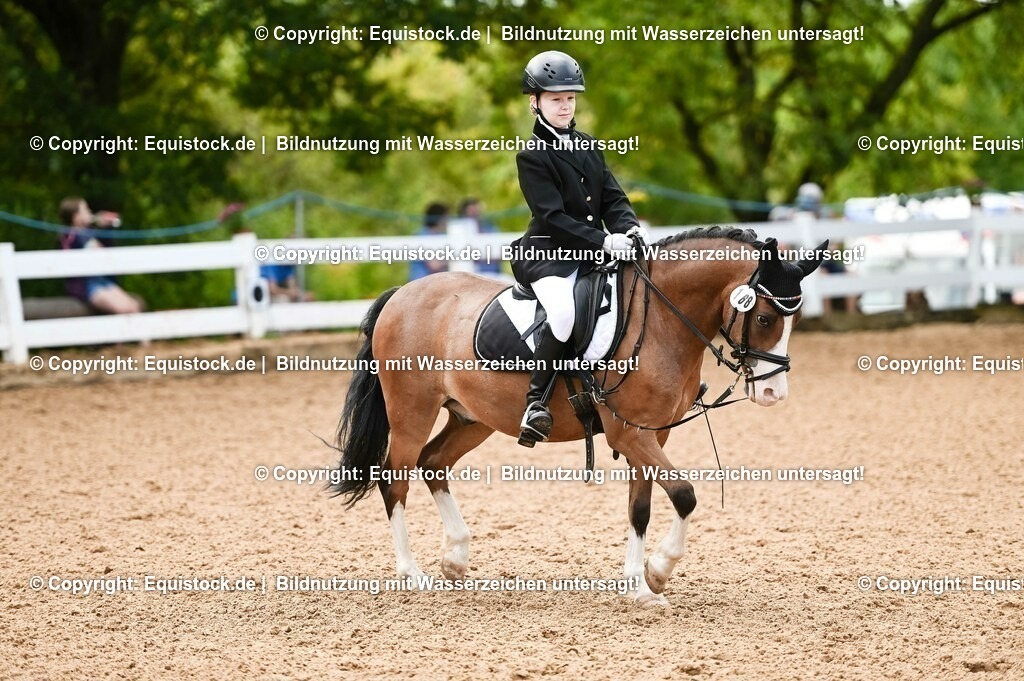 20230716_10-2_Reiter-WB Schritt - Trab - Galopp_0131 | equistock