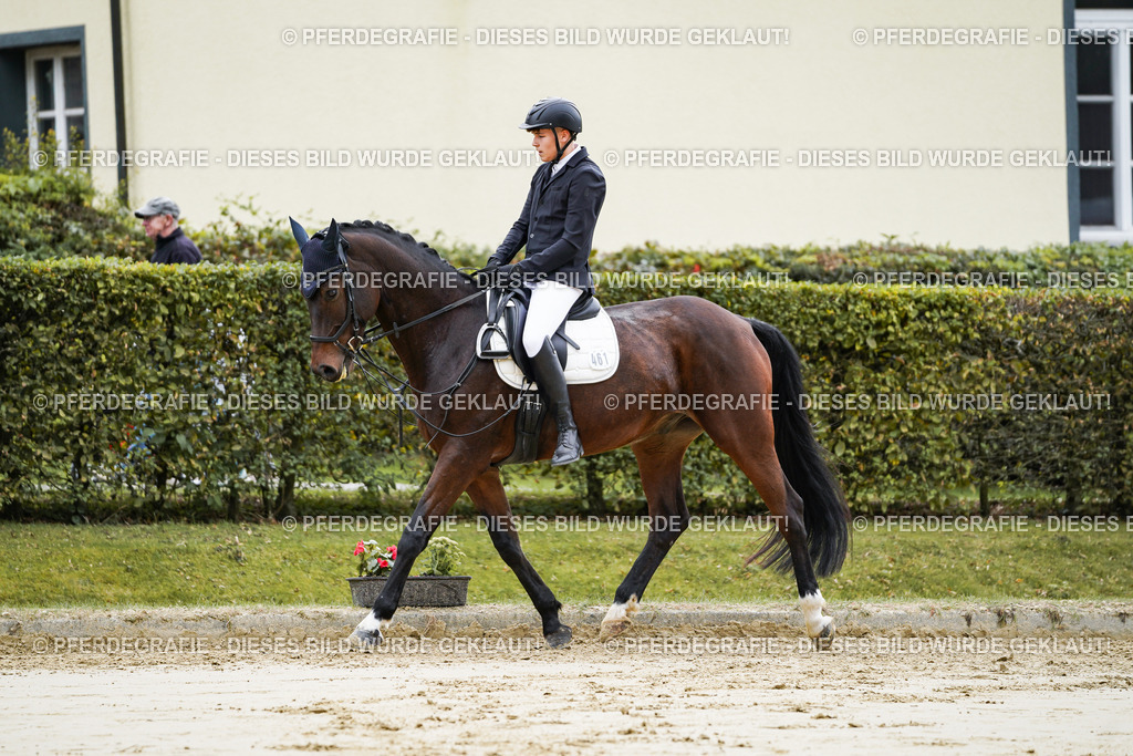 DSC04643 | Pferdegrafie