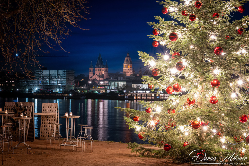 DSC_6750 | Fotografien, Fotos und Bilder aus Mainz, Frankfurt, Wiesbaden und anderen Orten auf der Welt - Fotografiert von Darius Metzner