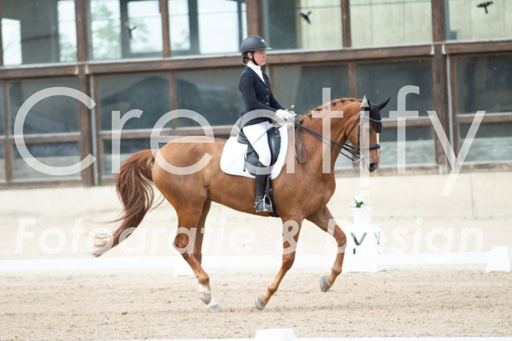 IMG_6116 | Creatify Fotografie