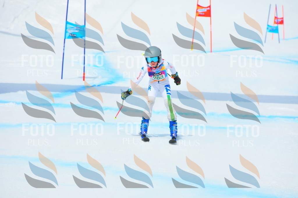 DSC_2635 | holidayphoto