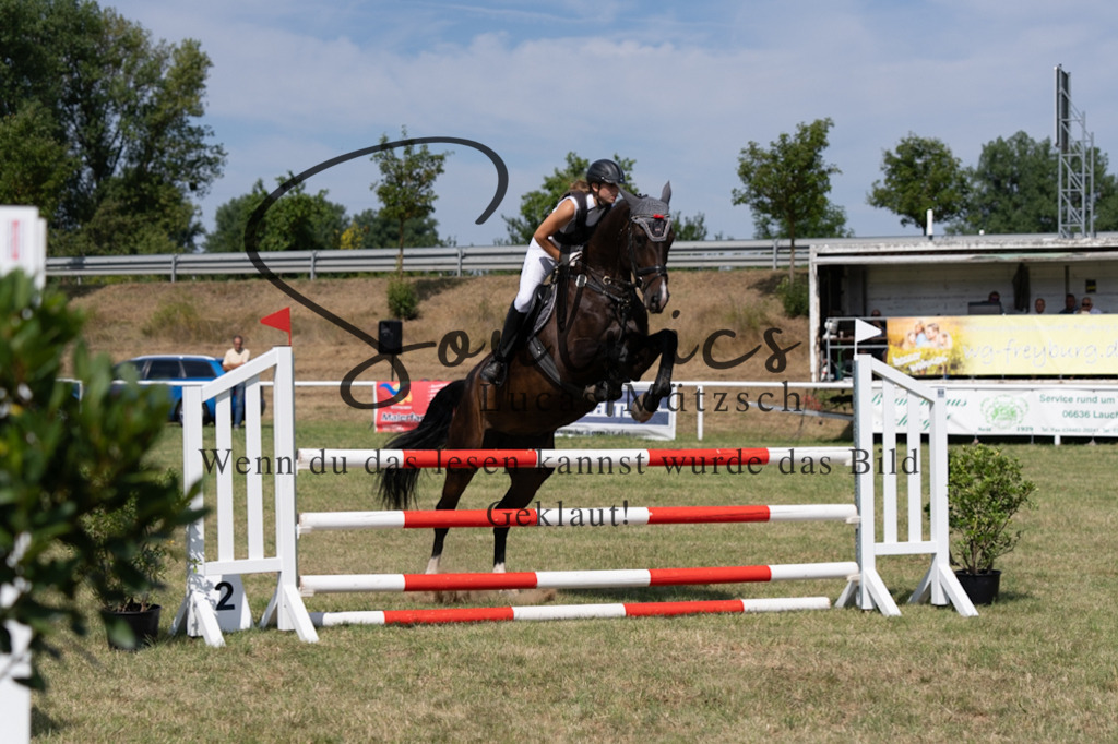 A7V01647 | Turnier/Reitfotograf