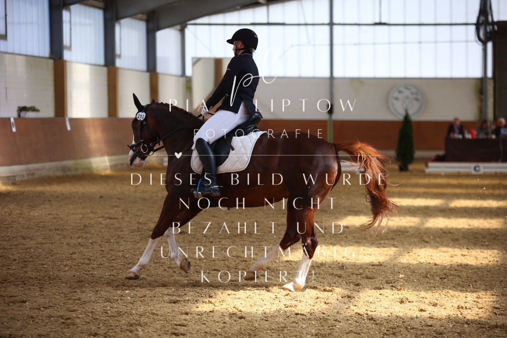 IMGT5204 | pl-fotografie