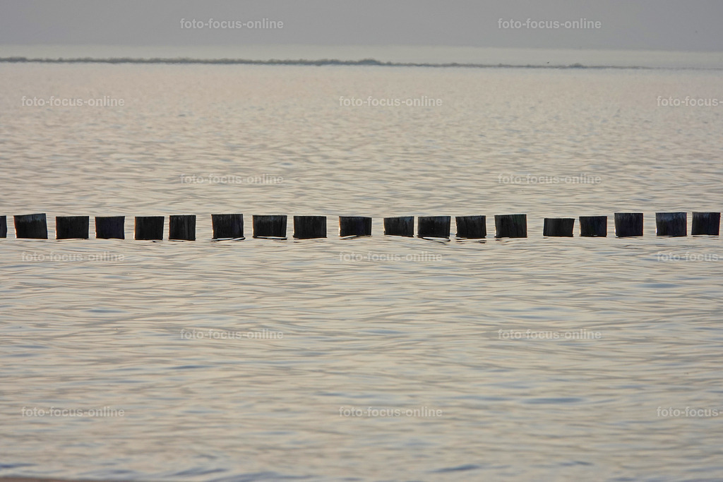 North Beach, Darß | foto-focus-online